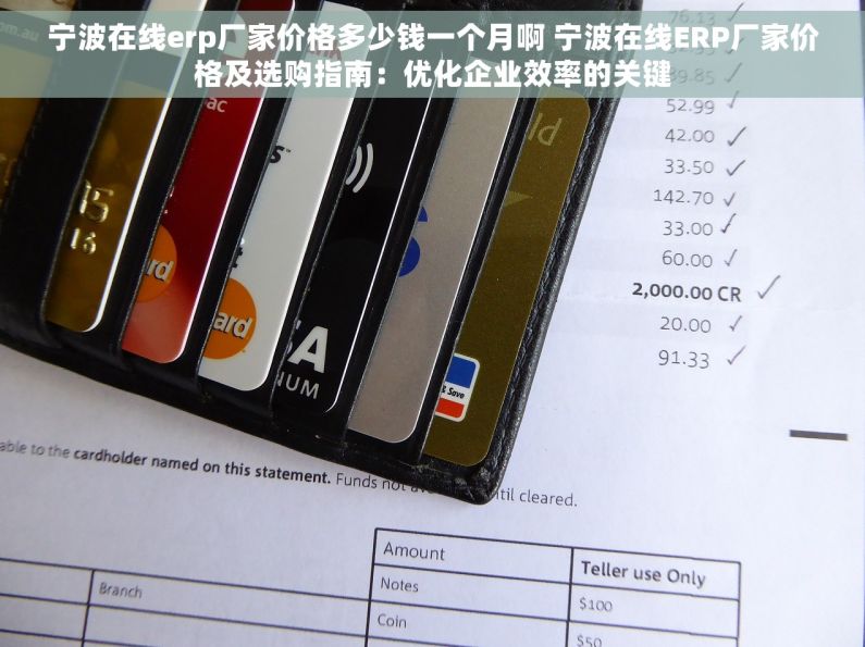 宁波在线erp厂家价格多少钱一个月啊 宁波在线ERP厂家价格及选购指南：优化企业效率的关键