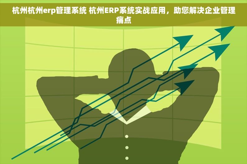 杭州杭州erp管理系统 杭州ERP系统实战应用，助您解决企业管理痛点