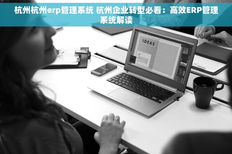 杭州杭州erp管理系统 杭州企业转型必看：高效ERP管理系统解读