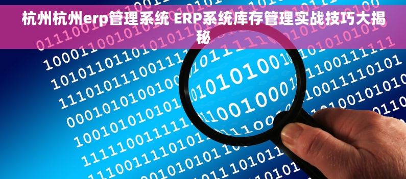 杭州杭州erp管理系统 ERP系统库存管理实战技巧大揭秘