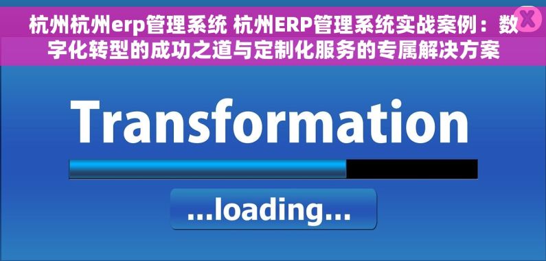 杭州杭州erp管理系统 杭州ERP管理系统实战案例：数字化转型的成功之道与定制化服务的专属解决方案