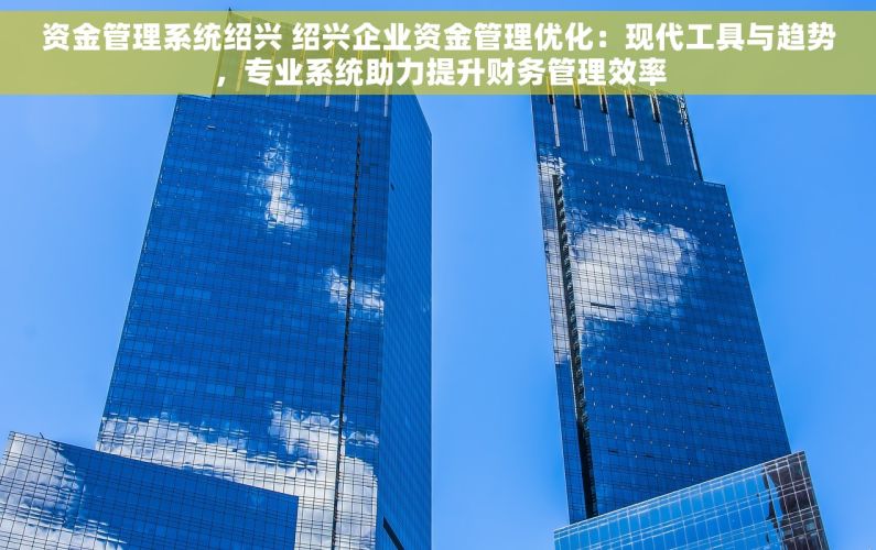 资金管理系统绍兴 绍兴企业资金管理优化：现代工具与趋势，专业系统助力提升财务管理效率
