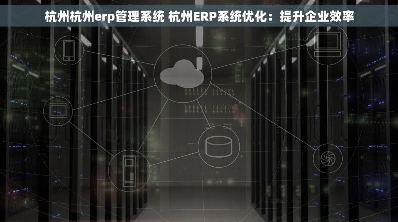 杭州杭州erp管理系统 杭州ERP系统优化：提升企业效率