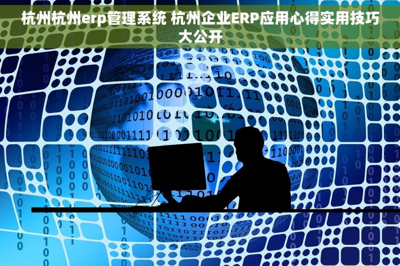 杭州杭州erp管理系统 杭州企业ERP应用心得实用技巧大公开