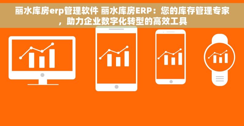 丽水库房erp管理软件 丽水库房ERP：您的库存管理专家，助力企业数字化转型的高效工具