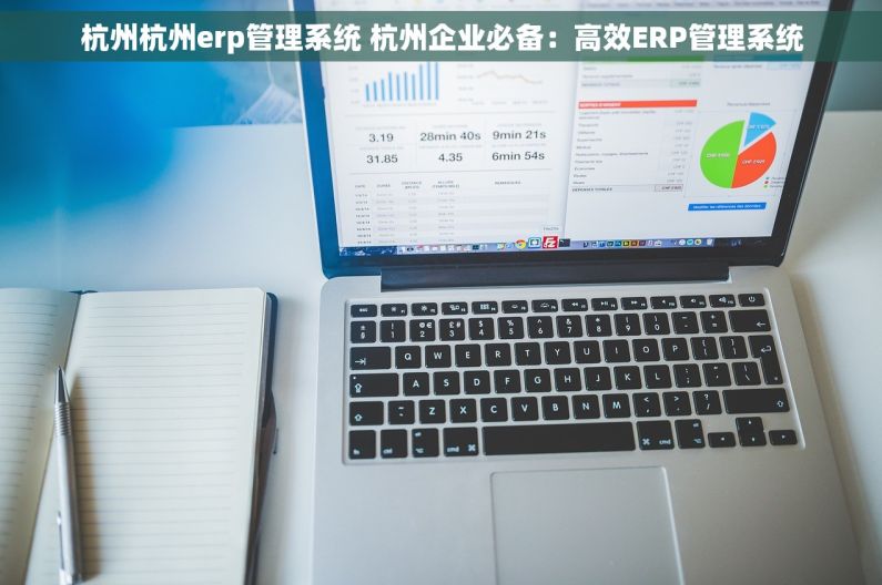 杭州杭州erp管理系统 杭州企业必备：高效ERP管理系统