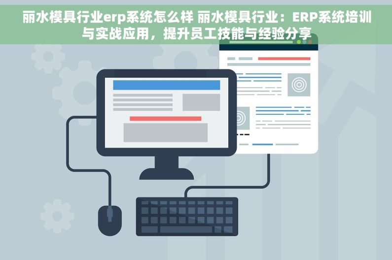 丽水模具行业erp系统怎么样 丽水模具行业：ERP系统培训与实战应用，提升员工技能与经验分享