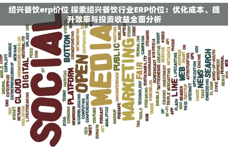 绍兴餐饮erp价位 探索绍兴餐饮行业ERP价位：优化成本、提升效率与投资收益全面分析