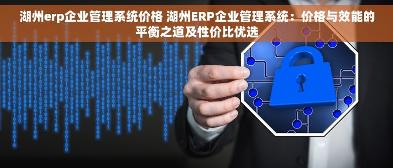 湖州erp企业管理系统价格 湖州ERP企业管理系统：价格与效能的平衡之道及性价比优选