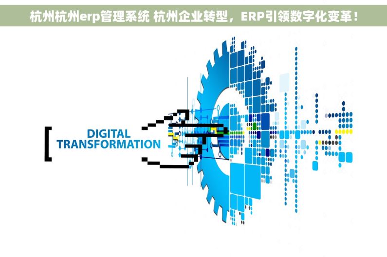 杭州杭州erp管理系统 杭州企业转型，ERP引领数字化变革！