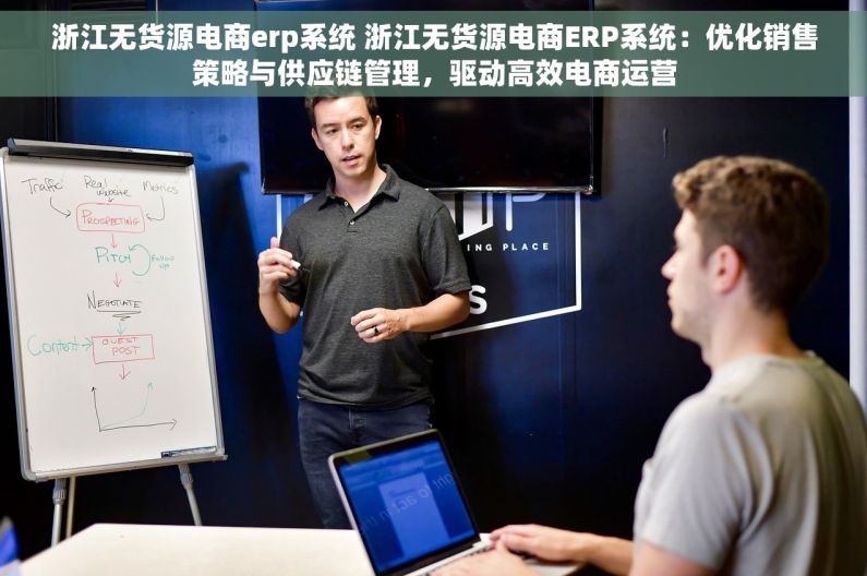 浙江无货源电商erp系统 浙江无货源电商ERP系统：优化销售策略与供应链管理，驱动高效电商运营