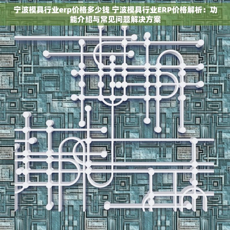 宁波模具行业erp价格多少钱 宁波模具行业ERP价格解析：功能介绍与常见问题解决方案