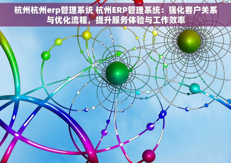 杭州杭州erp管理系统 杭州ERP管理系统：强化客户关系与优化流程，提升服务体验与工作效率