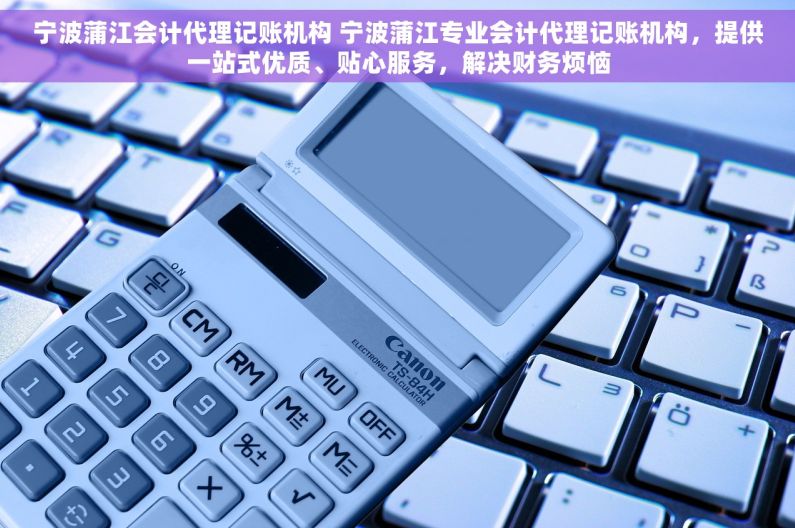 宁波蒲江会计代理记账机构 宁波蒲江专业会计代理记账机构，提供一站式优质、贴心服务，解决财务烦恼