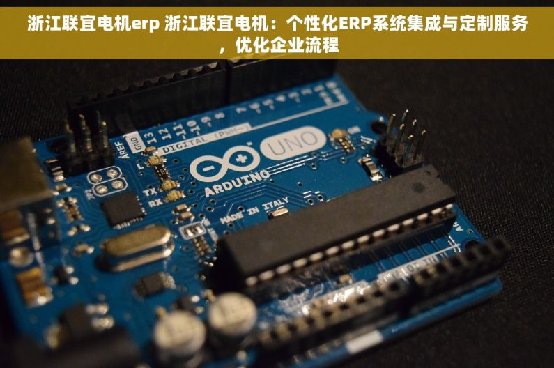 浙江联宜电机erp 浙江联宜电机：个性化ERP系统集成与定制服务，优化企业流程