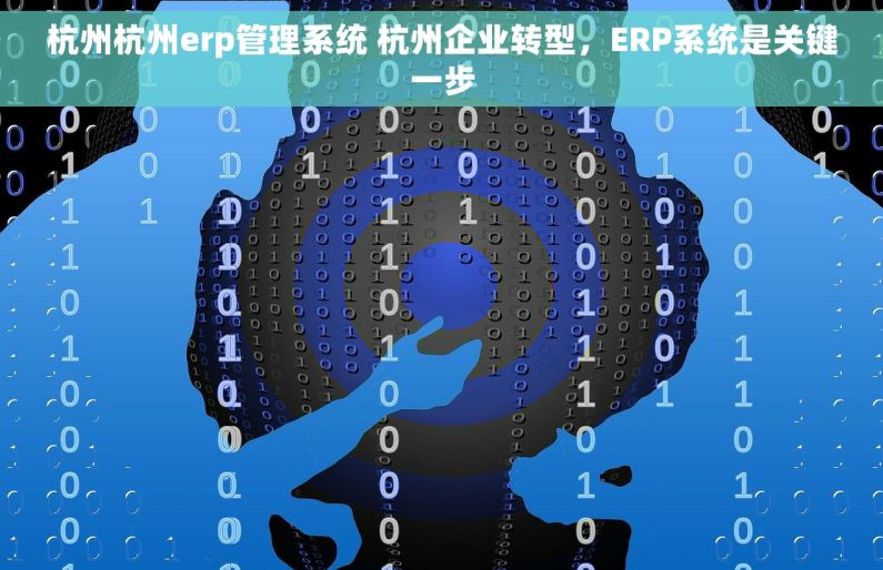 杭州杭州erp管理系统 杭州企业转型，ERP系统是关键一步