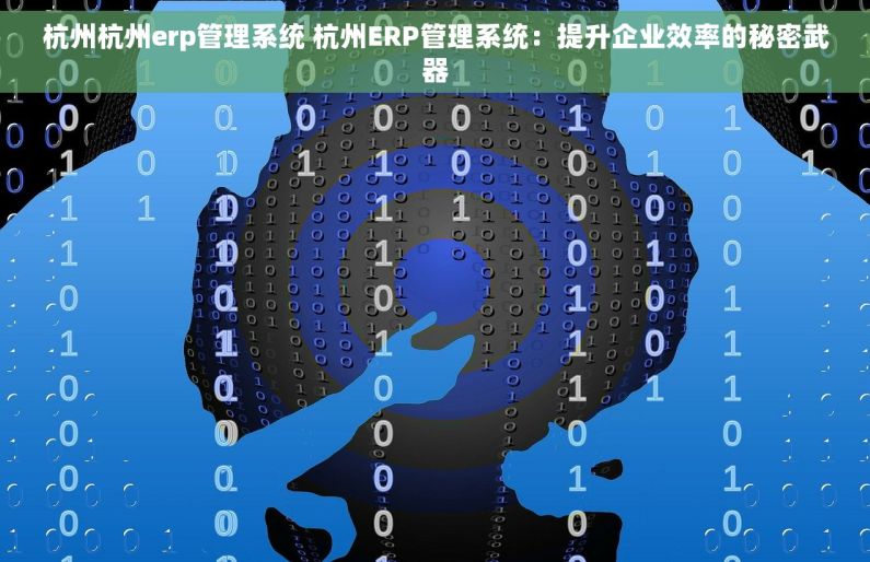 杭州杭州erp管理系统 杭州ERP管理系统：提升企业效率的秘密武器