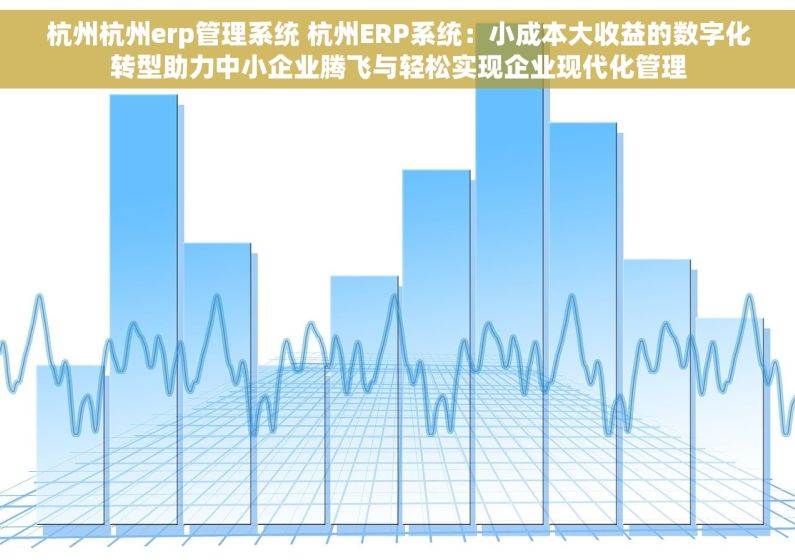杭州杭州erp管理系统 杭州ERP系统：小成本大收益的数字化转型助力中小企业腾飞与轻松实现企业现代化管理