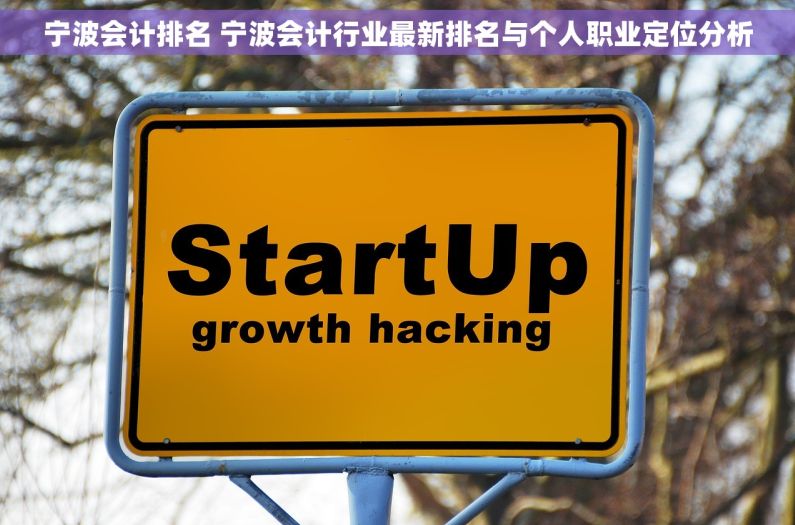 宁波会计排名 宁波会计行业最新排名与个人职业定位分析