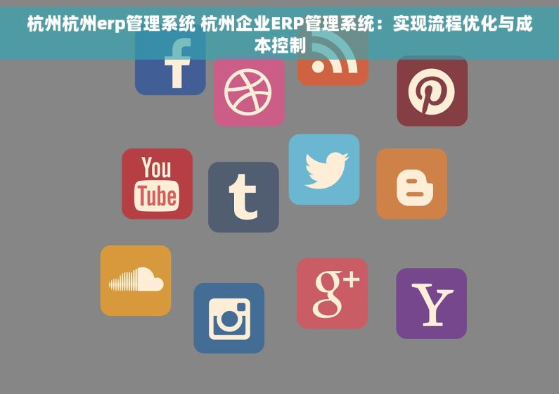 杭州杭州erp管理系统 杭州企业ERP管理系统：实现流程优化与成本控制