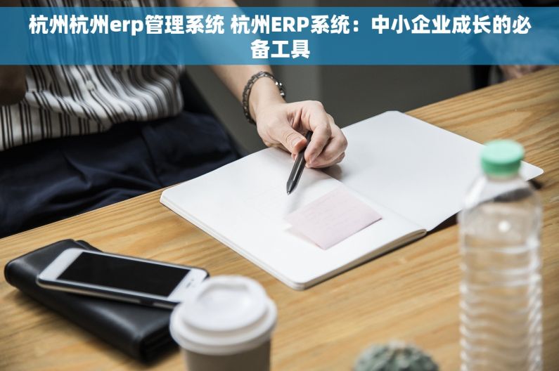 杭州杭州erp管理系统 杭州ERP系统：中小企业成长的必备工具