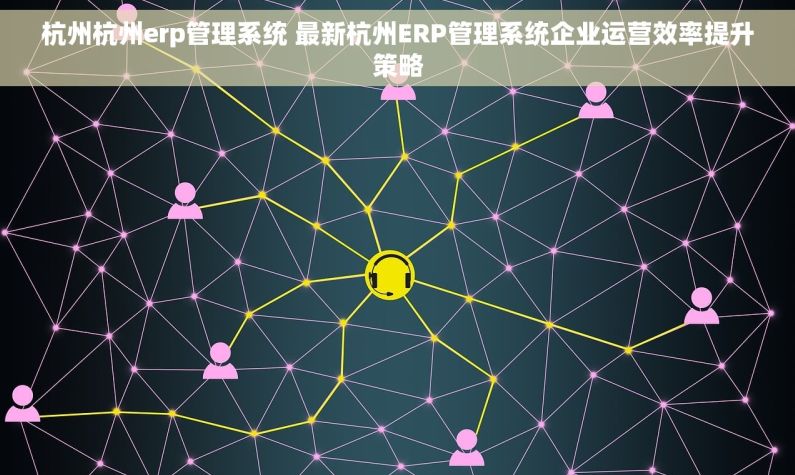 杭州杭州erp管理系统 最新杭州ERP管理系统企业运营效率提升策略
