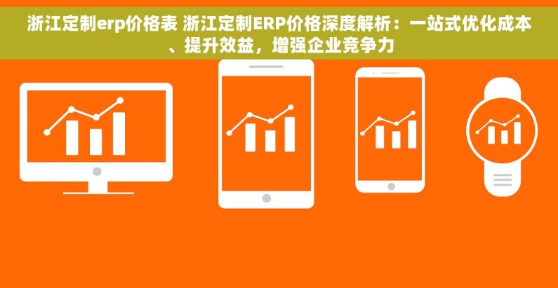 浙江定制erp价格表 浙江定制ERP价格深度解析：一站式优化成本、提升效益，增强企业竞争力