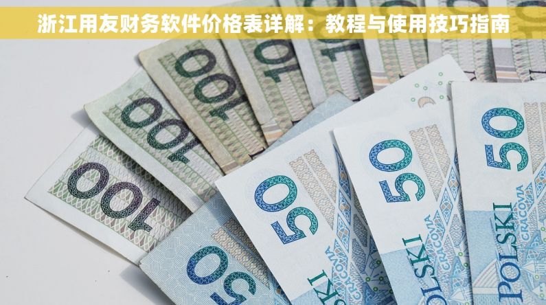 浙江用友财务软件价格表详解：教程与使用技巧指南