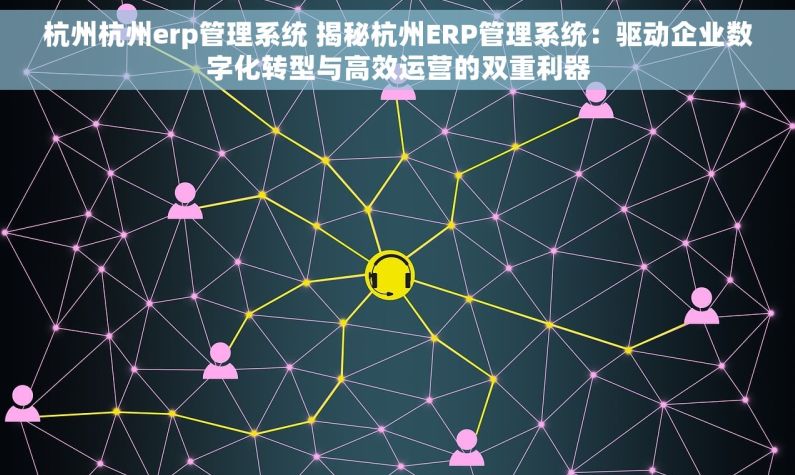 杭州杭州erp管理系统 揭秘杭州ERP管理系统：驱动企业数字化转型与高效运营的双重利器