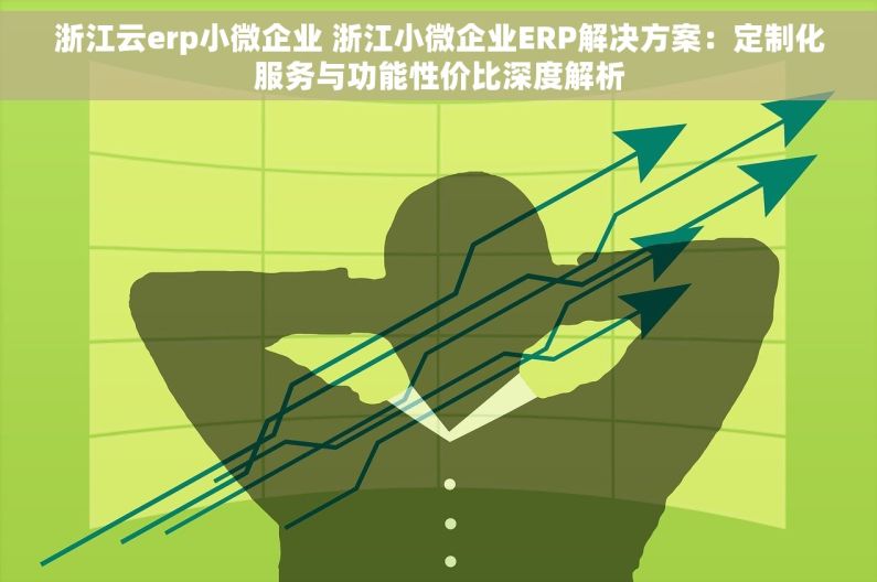浙江云erp小微企业 浙江小微企业ERP解决方案：定制化服务与功能性价比深度解析