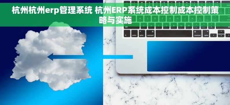 杭州杭州erp管理系统 杭州ERP系统成本控制成本控制策略与实施