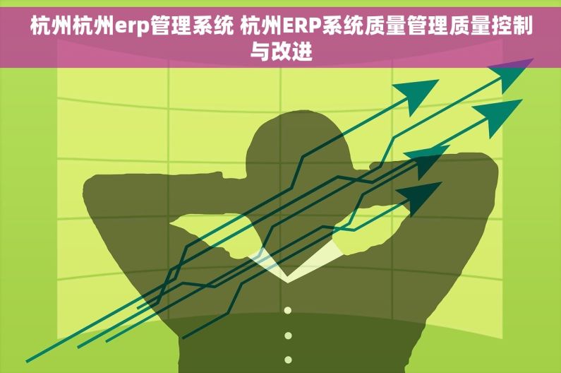 杭州杭州erp管理系统 杭州ERP系统质量管理质量控制与改进