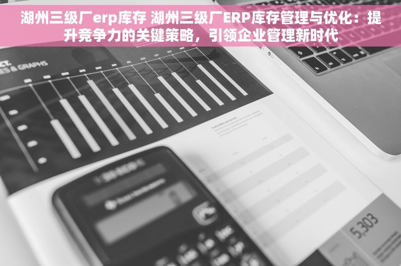 湖州三级厂erp库存 湖州三级厂ERP库存管理与优化：提升竞争力的关键策略，引领企业管理新时代