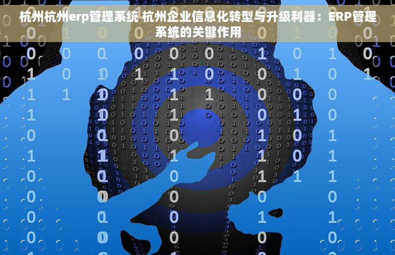 杭州杭州erp管理系统 杭州企业信息化转型与升级利器：ERP管理系统的关键作用