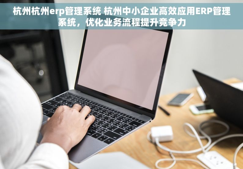 杭州杭州erp管理系统 杭州中小企业高效应用ERP管理系统，优化业务流程提升竞争力