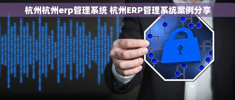 杭州杭州erp管理系统 杭州ERP管理系统案例分享