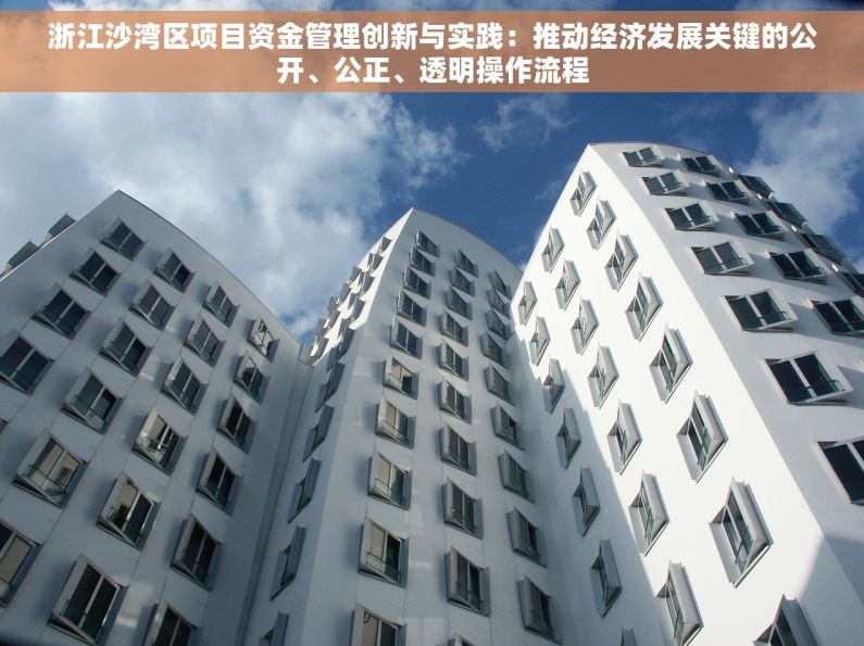浙江沙湾区项目资金管理创新与实践：推动经济发展关键的公开、公正、透明操作流程