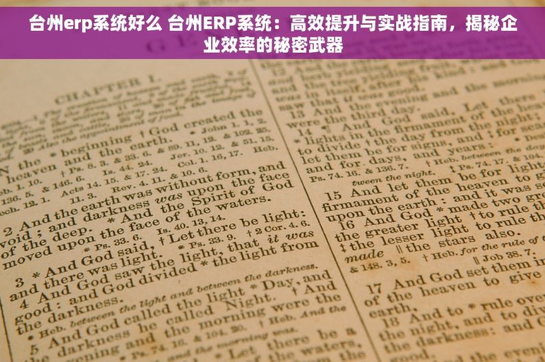台州erp系统好么 台州ERP系统：高效提升与实战指南，揭秘企业效率的秘密武器