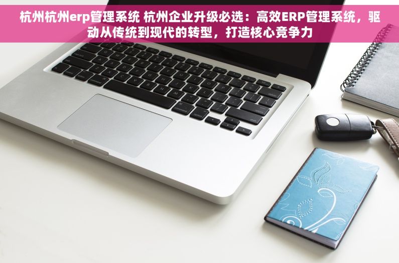 杭州杭州erp管理系统 杭州企业升级必选：高效ERP管理系统，驱动从传统到现代的转型，打造核心竞争力