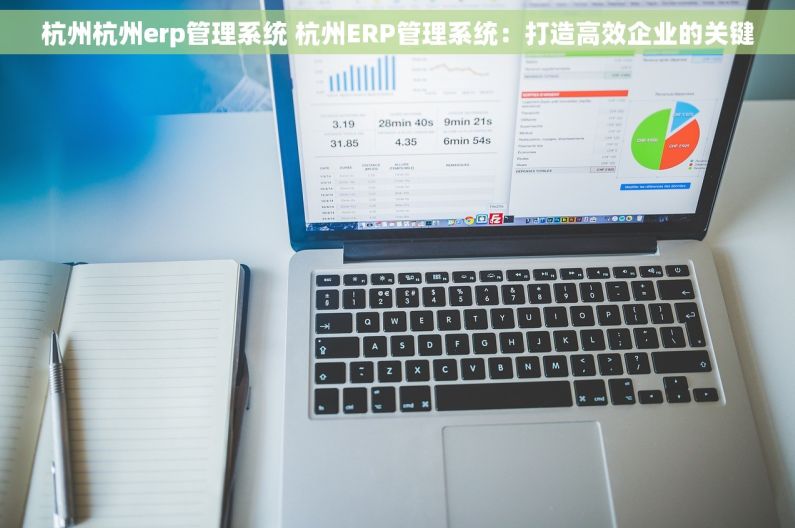 杭州杭州erp管理系统 杭州ERP管理系统：打造高效企业的关键