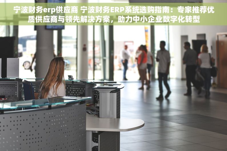 宁波财务erp供应商 宁波财务ERP系统选购指南：专家推荐优质供应商与领先解决方案，助力中小企业数字化转型