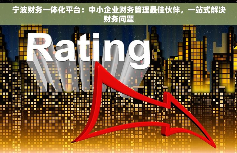 宁波财务一体化平台：中小企业财务管理最佳伙伴，一站式解决财务问题