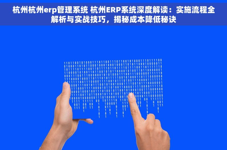 杭州杭州erp管理系统 杭州ERP系统深度解读：实施流程全解析与实战技巧，揭秘成本降低秘诀