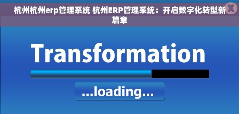 杭州杭州erp管理系统 杭州ERP管理系统：开启数字化转型新篇章