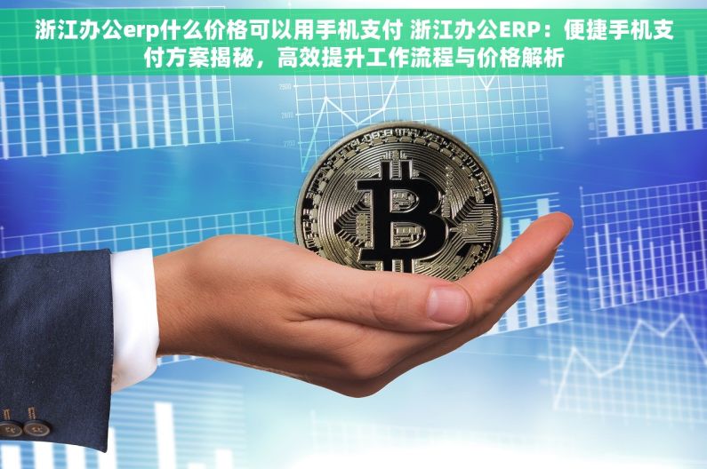 浙江办公erp什么价格可以用手机支付 浙江办公ERP：便捷手机支付方案揭秘，高效提升工作流程与价格解析