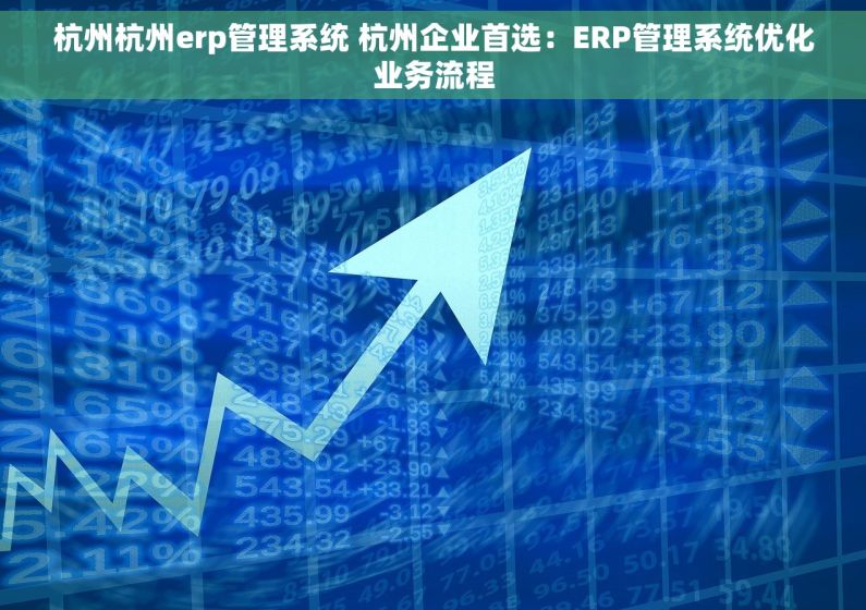 杭州杭州erp管理系统 杭州企业首选：ERP管理系统优化业务流程