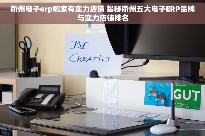 衢州电子erp哪家有实力店铺 揭秘衢州五大电子ERP品牌与实力店铺排名