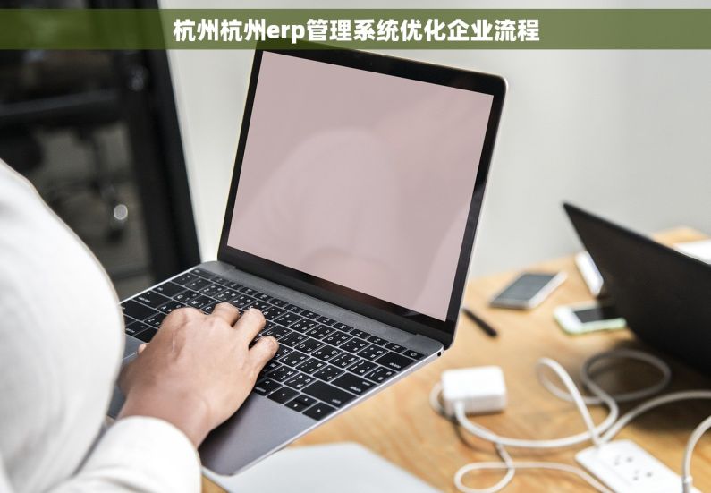 杭州杭州erp管理系统优化企业流程