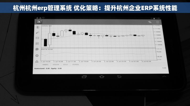 杭州杭州erp管理系统 优化策略：提升杭州企业ERP系统性能