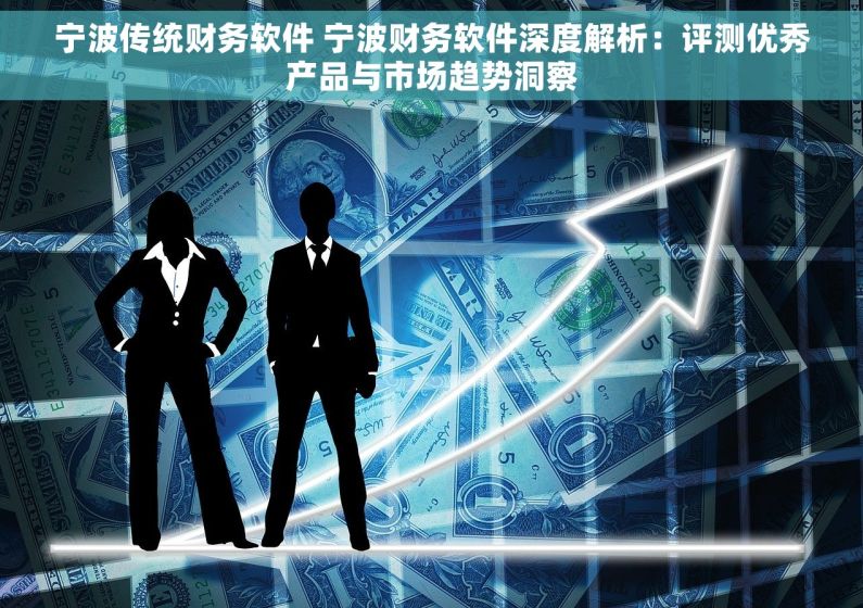 宁波传统财务软件 宁波财务软件深度解析：评测优秀产品与市场趋势洞察